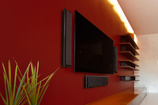 Portfolio: Flat Panel TV with Speakers